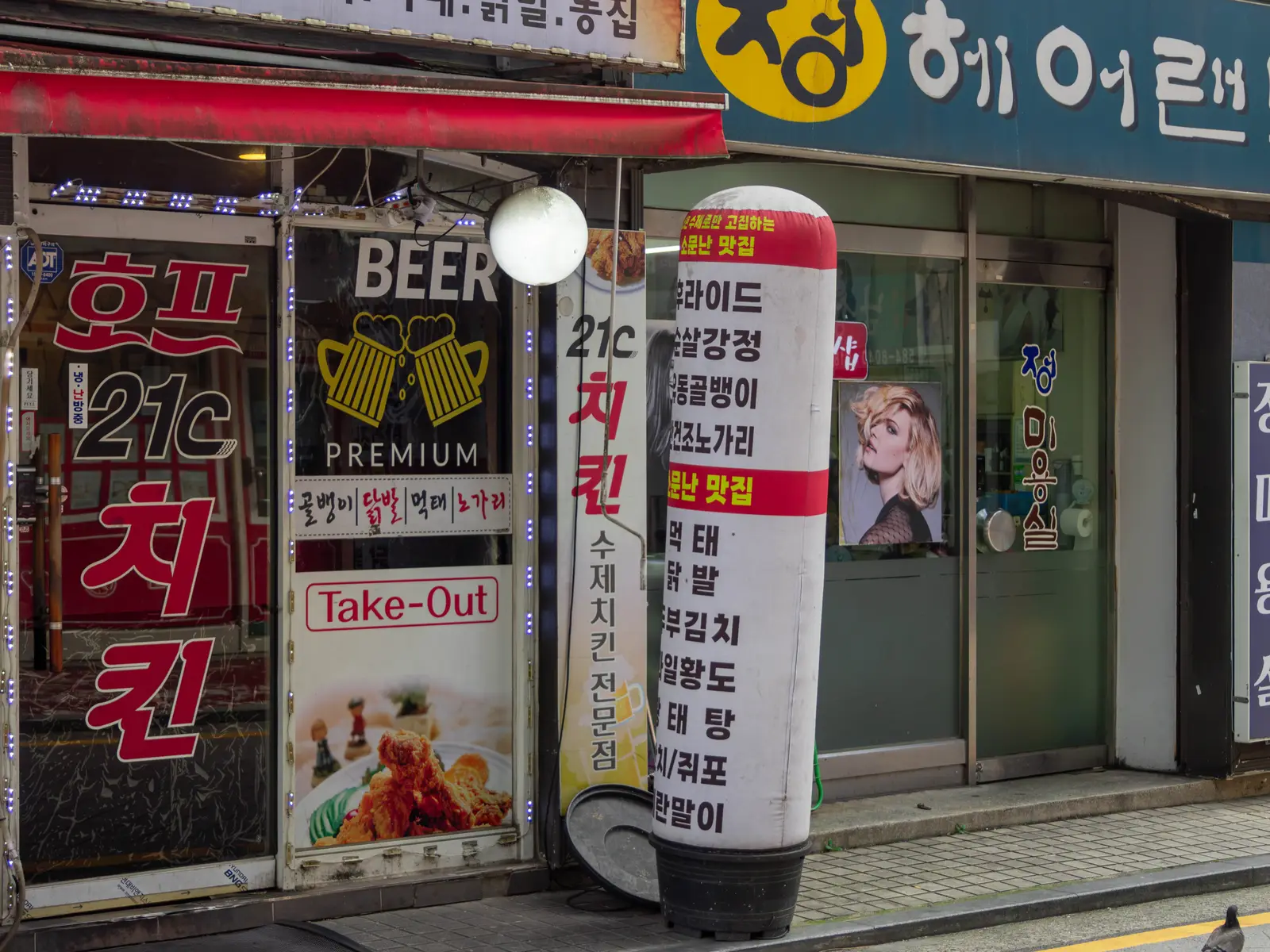 21C호프치킨 사진 2
