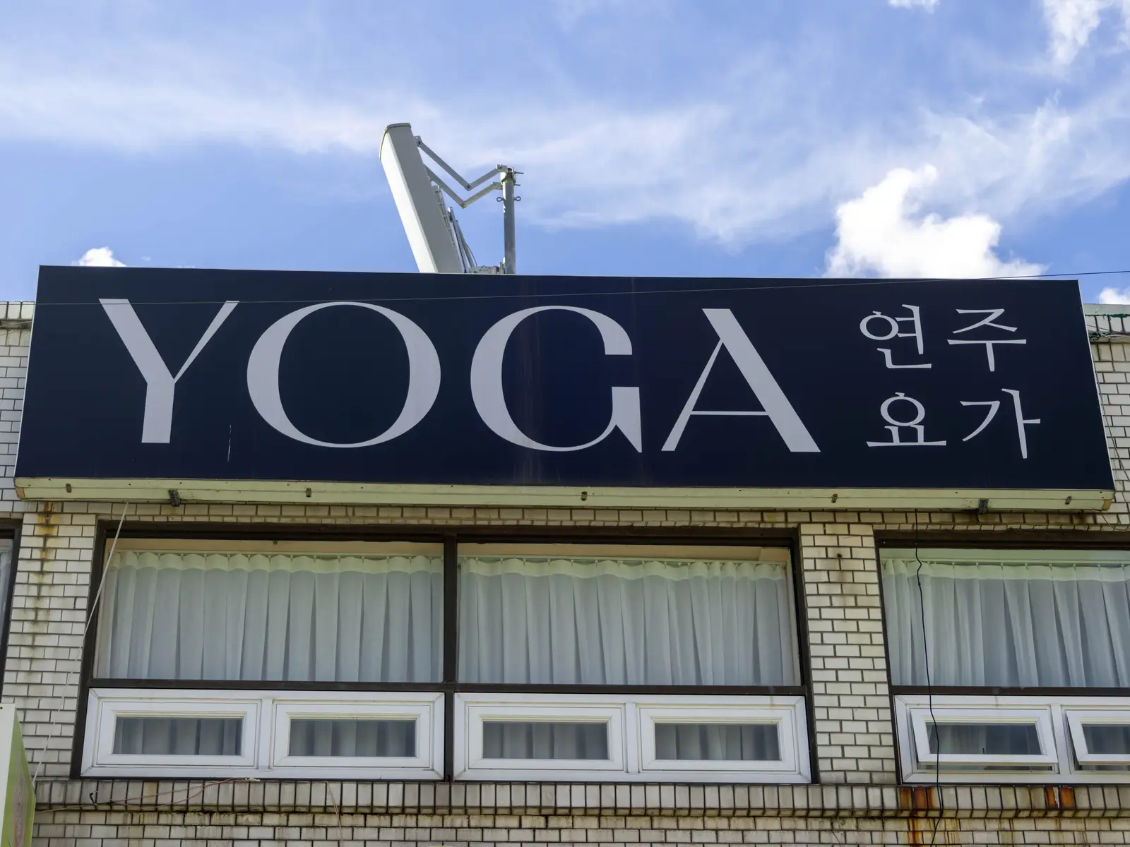 연주요가 사진 3