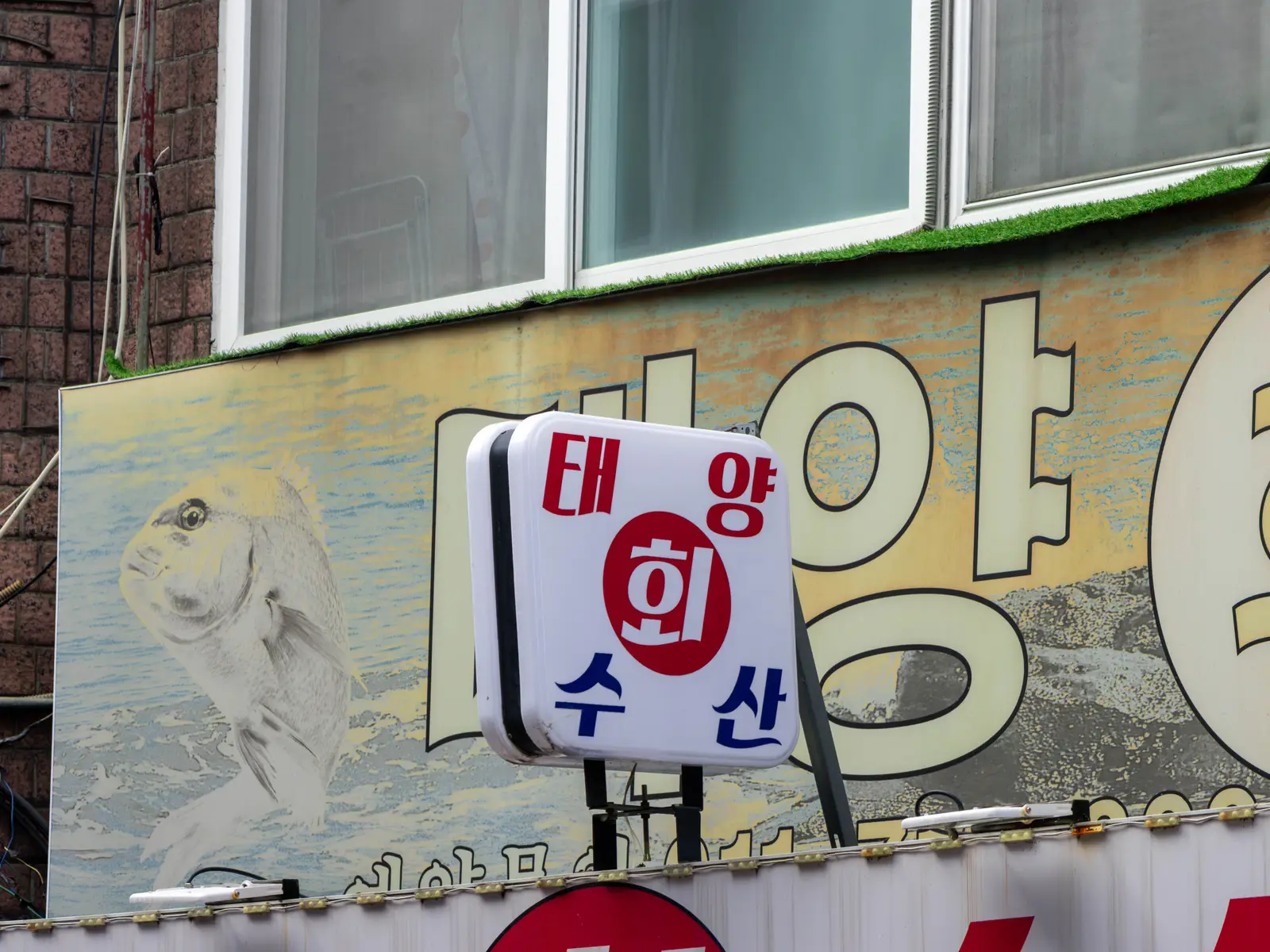 태양수산의 공간