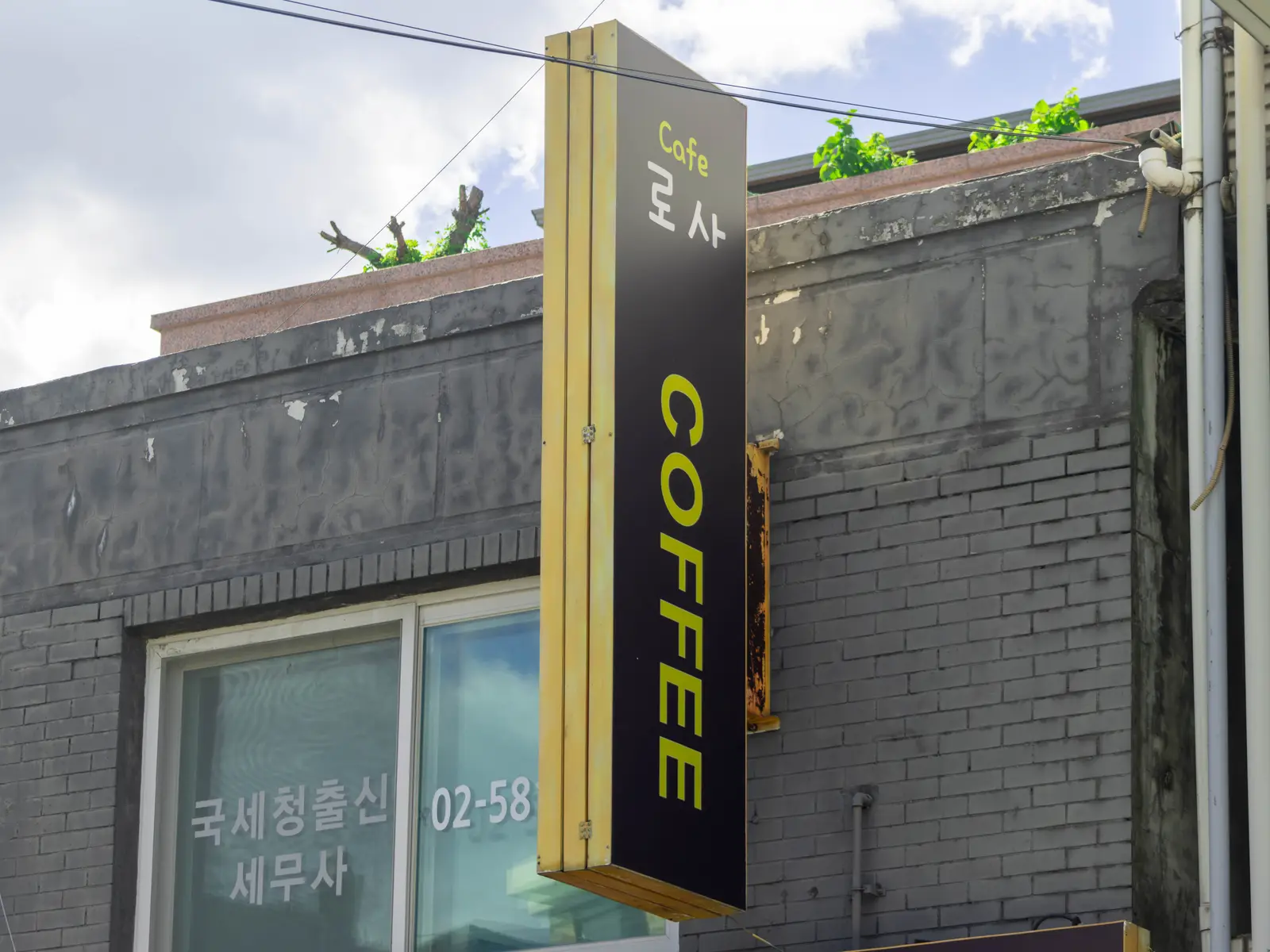 카페로사 공간