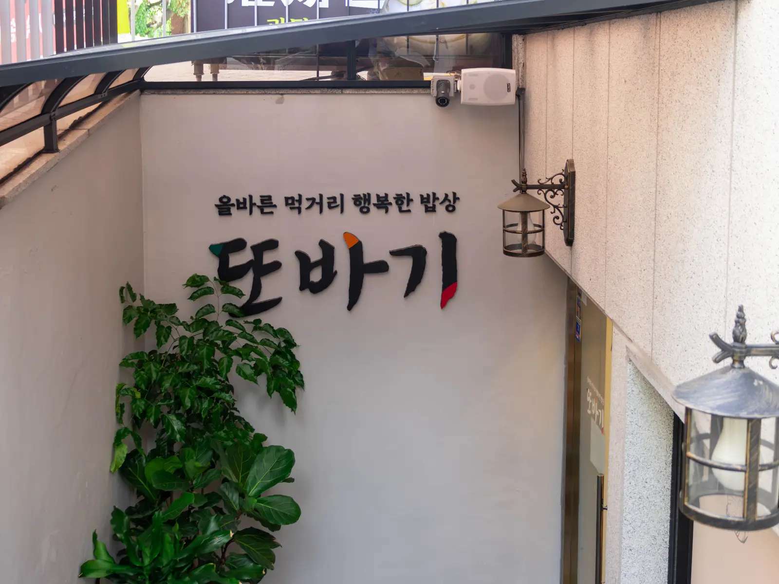 또바기 사진 4