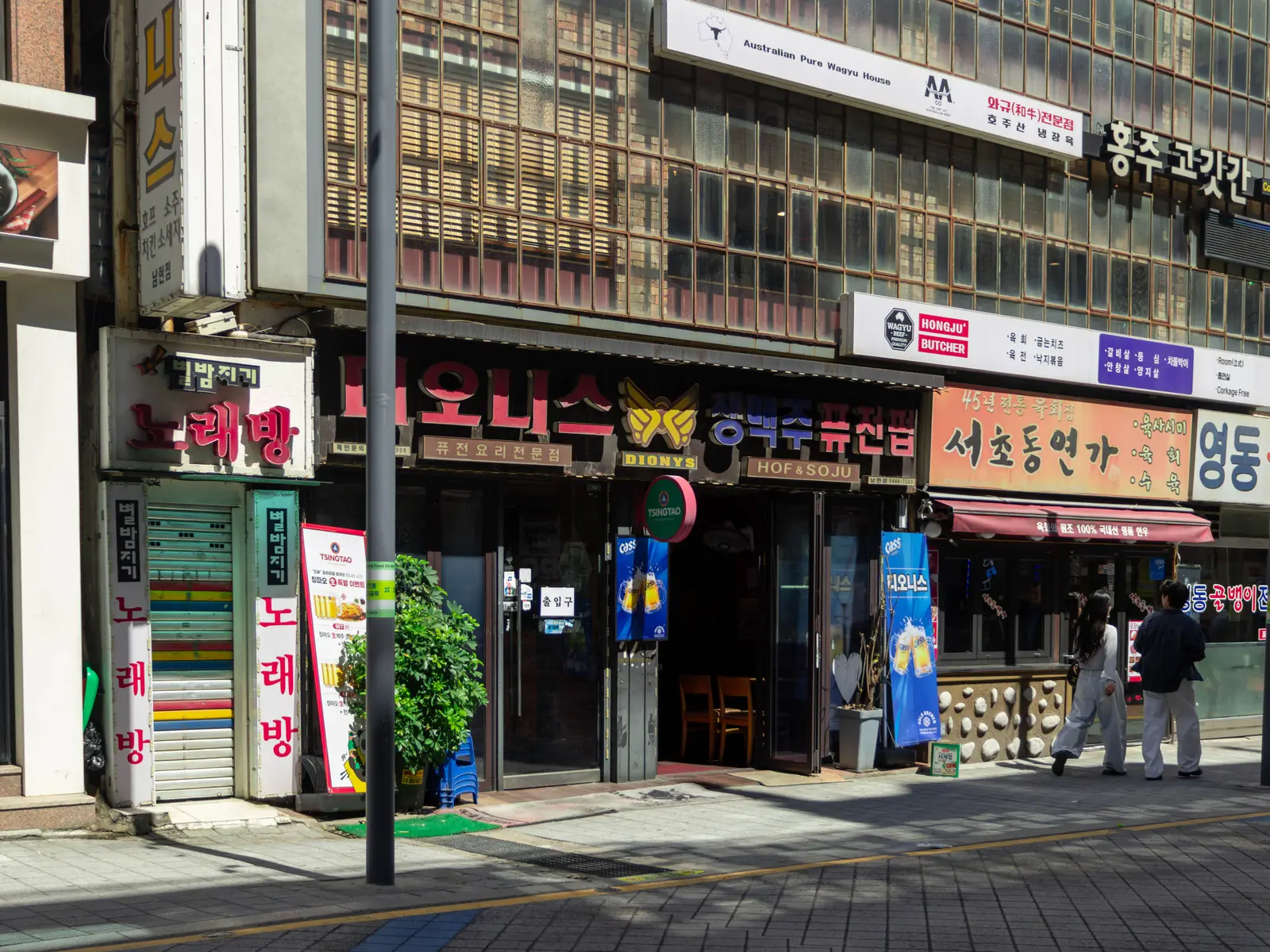 디오니스 사진 4