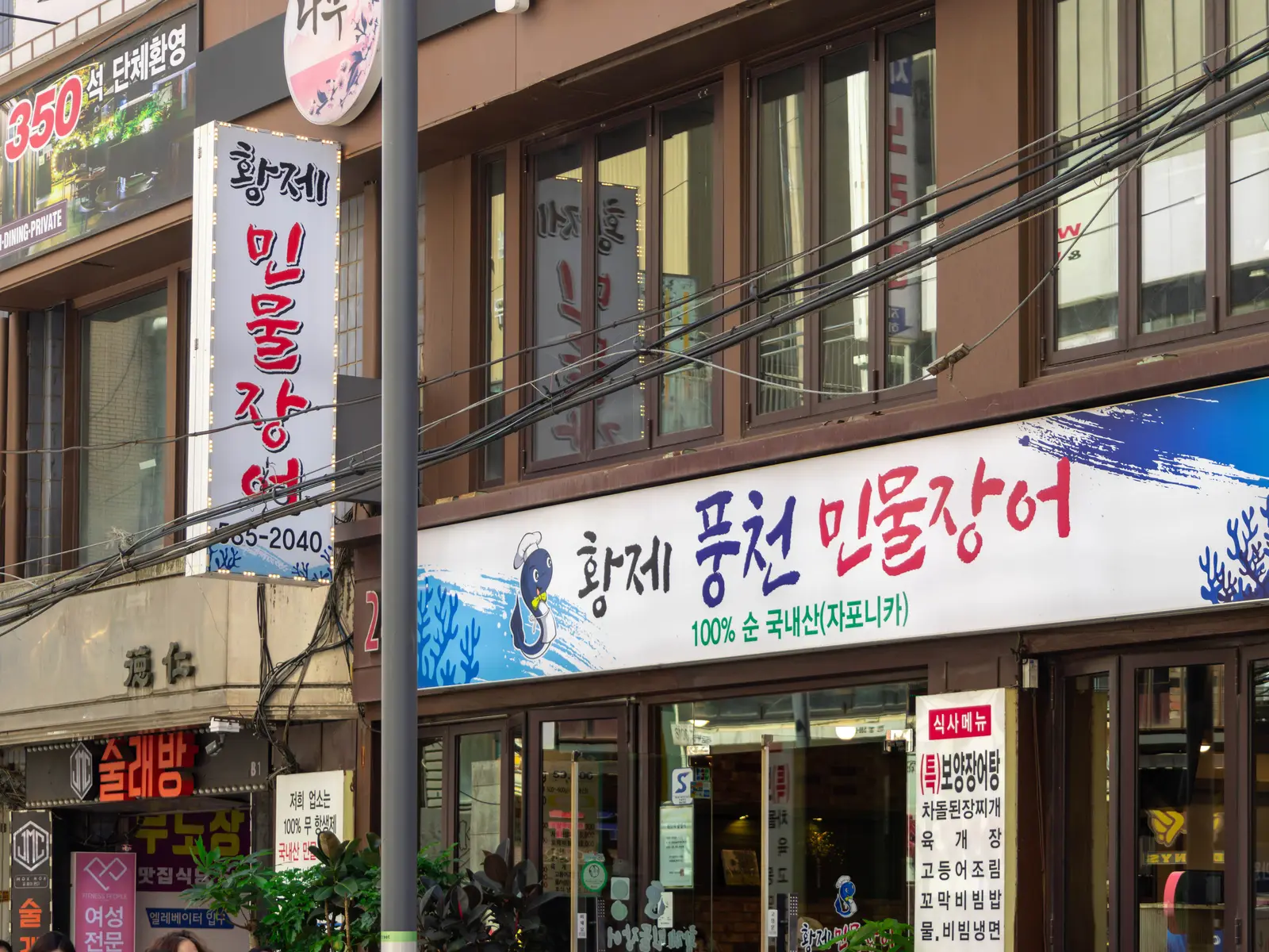 황제풍천민물장어 사진 6